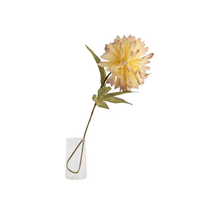 Chrysanthemum Flower Stem Cream