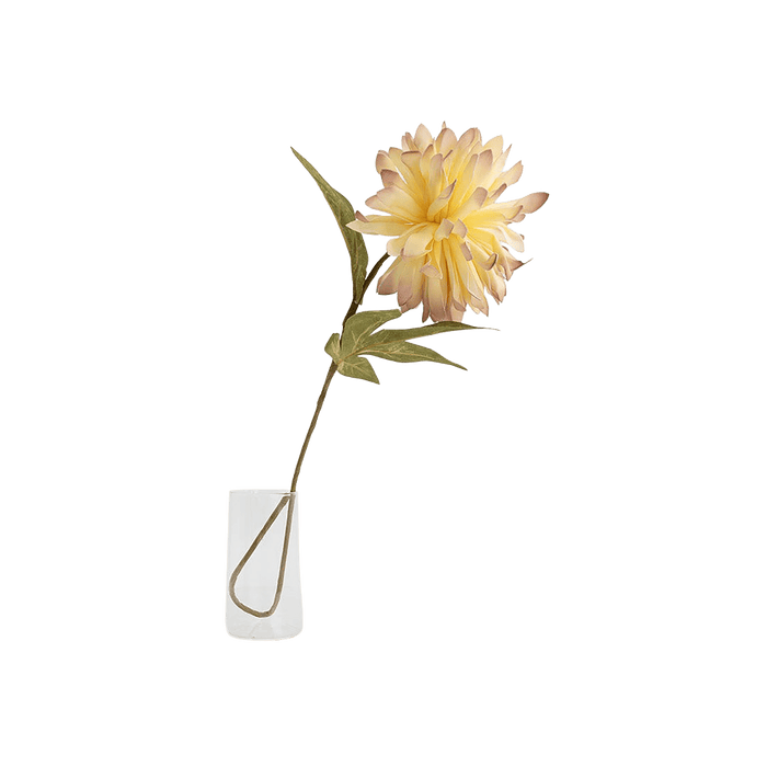 Chrysanthemum Flower Stem Cream