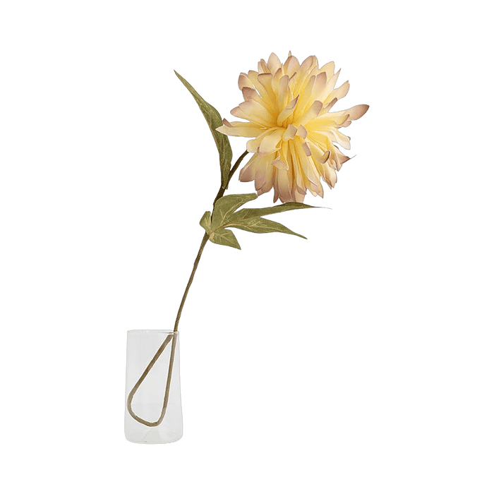 Chrysanthemum Flower Stem Cream