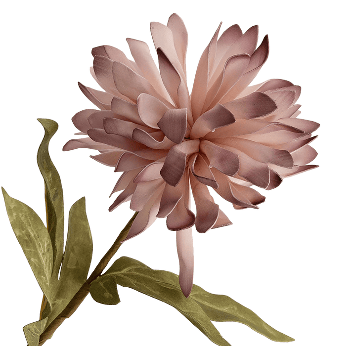 Chrysanthemum Flower Stem Pink