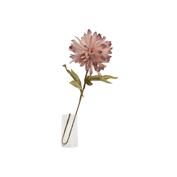 Chrysanthemum Flower Stem Pink