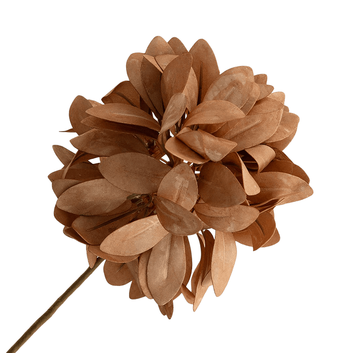 Cornflower Stem Orange