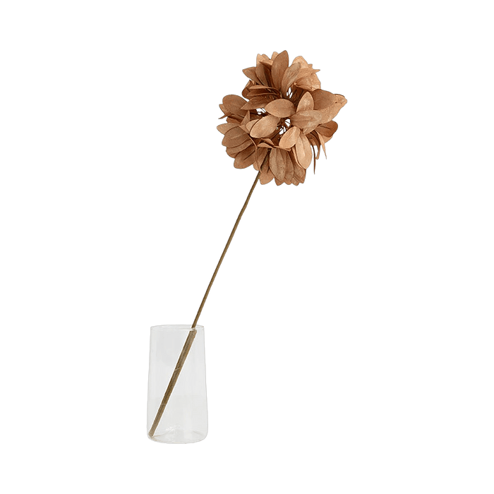 Cornflower Stem Orange