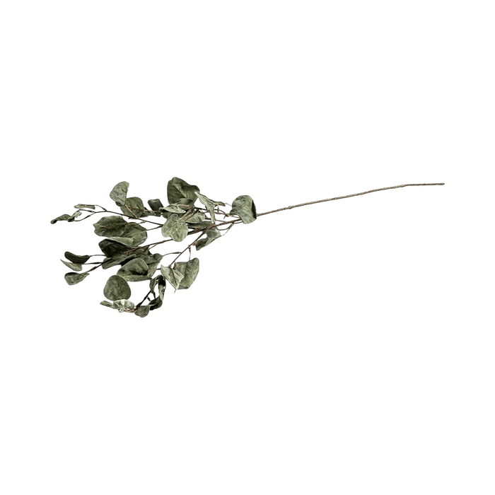 Dry Leaves Green