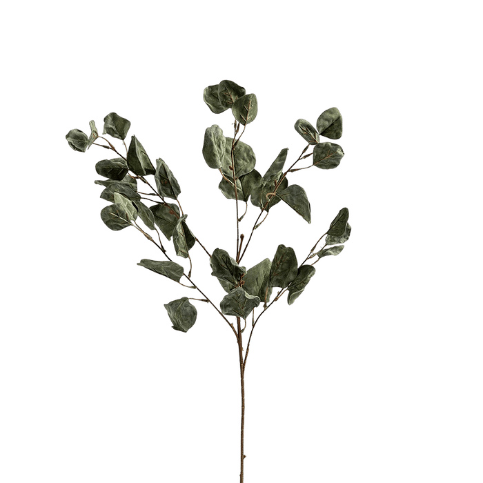 Dry Leaves Green