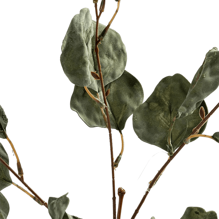 Dry Leaves Green