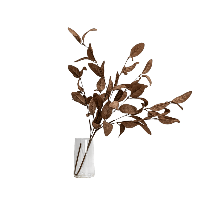 Eucalyptus Leaves Brown