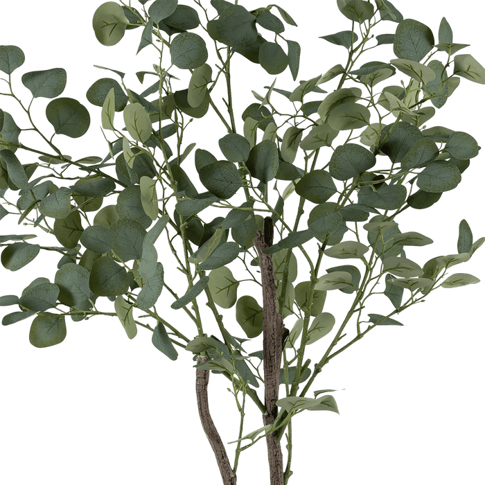Eucalyptus Tree With Pot - Setinone.ae