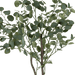 Eucalyptus Tree With Pot - Setinone.ae