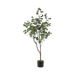 Eucalyptus Tree With Pot - Setinone.ae