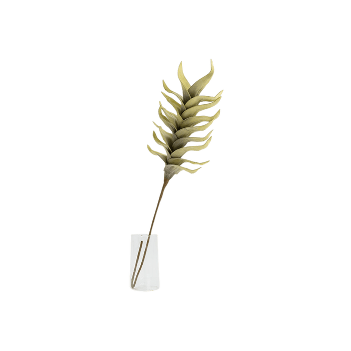 Heliconia Stem Green