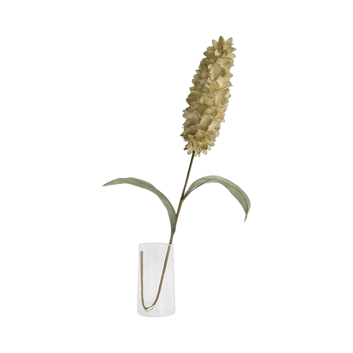 Hyacinth Flower Stem Cream - Setinone.ae
