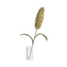 Hyacinth Flower Stem Cream - Setinone.ae