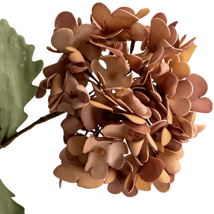 Hydrangea Flower Pink