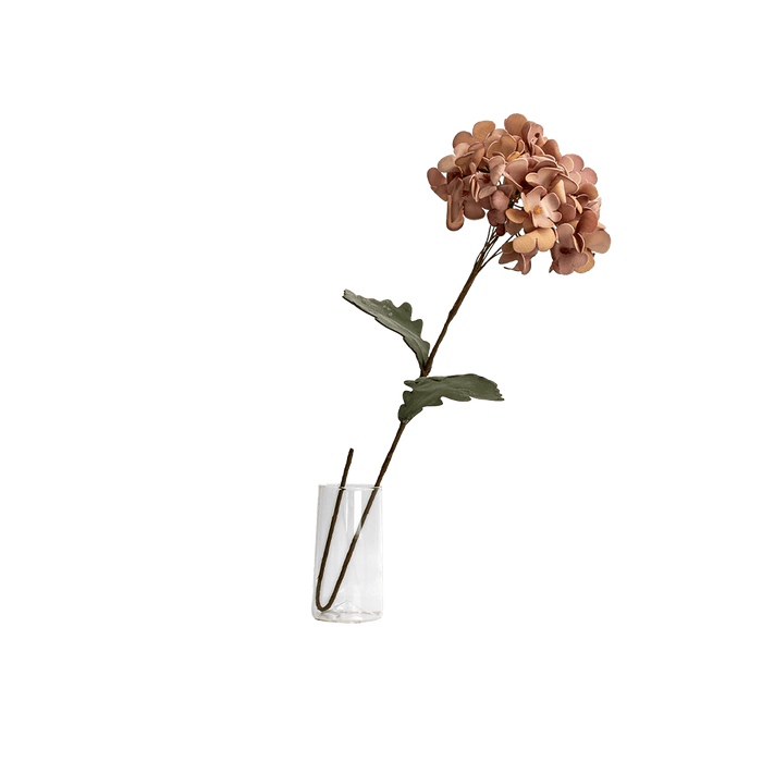 Hydrangea Flower Pink