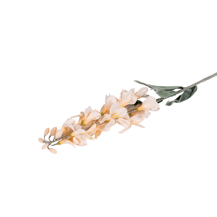 Locust Flower Champagne