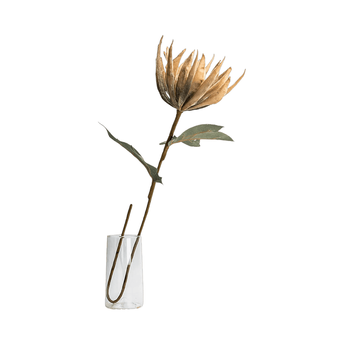 Lotus Flower Beige