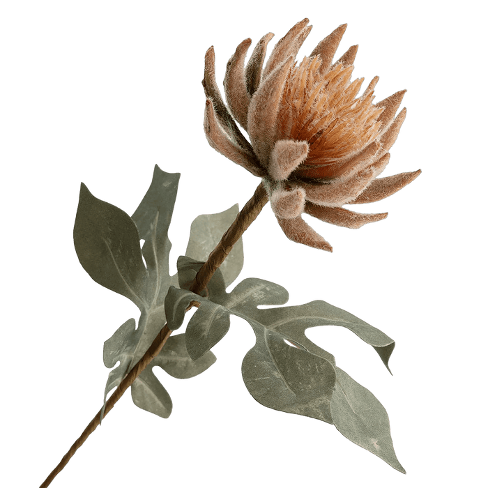 Lotus Flower Orange - Setinone.ae