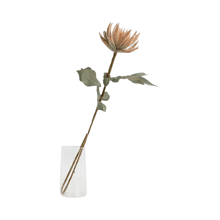 Lotus Flower Orange - Setinone.ae