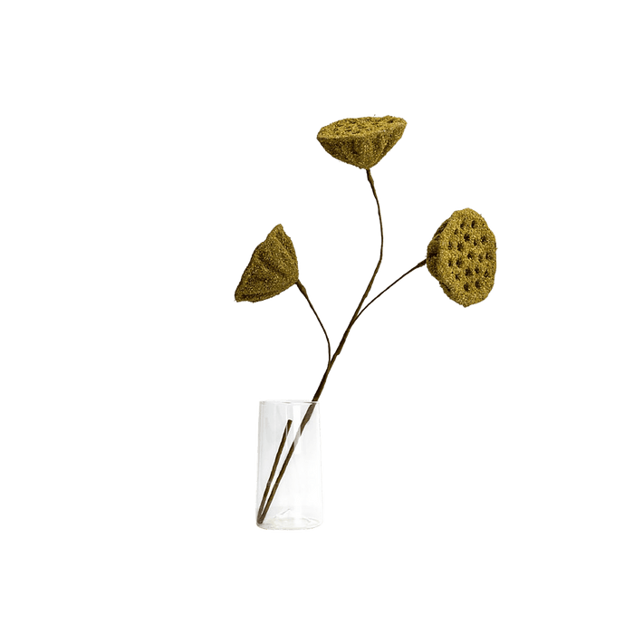 Lotus Seedpod Olive Green