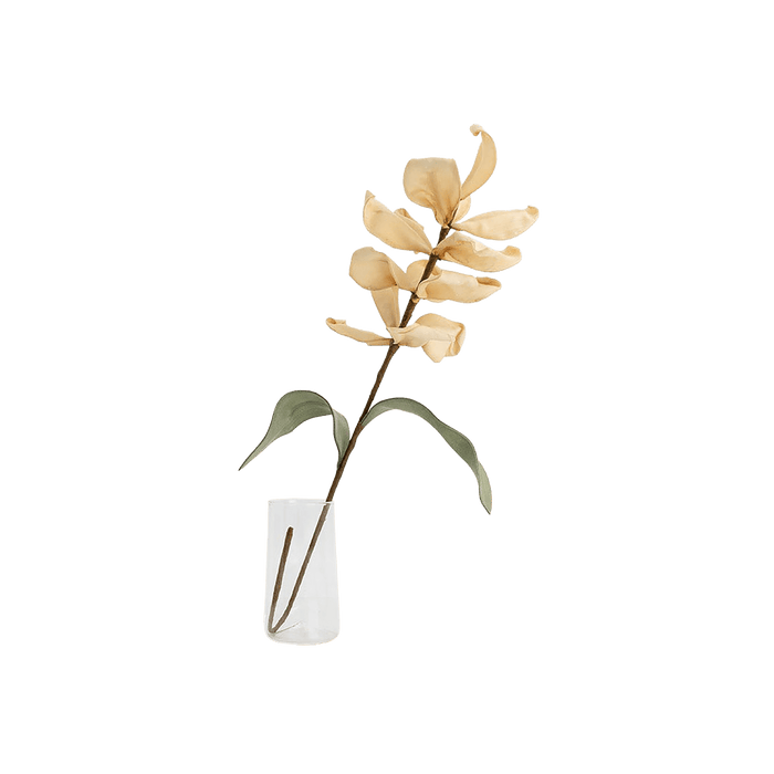 Magnolia Flower Beige