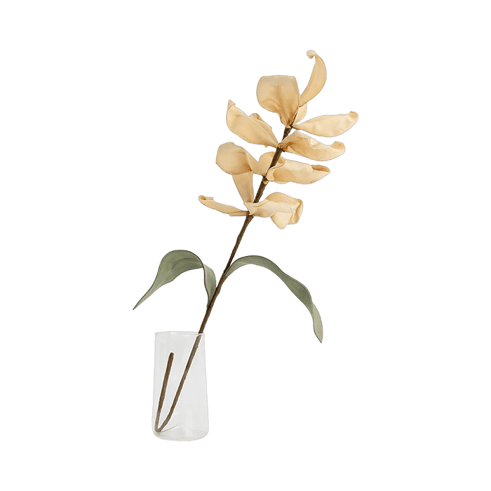 Magnolia Flower Beige