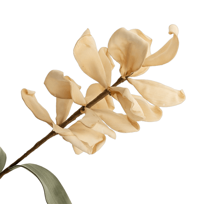 Magnolia Flower Beige