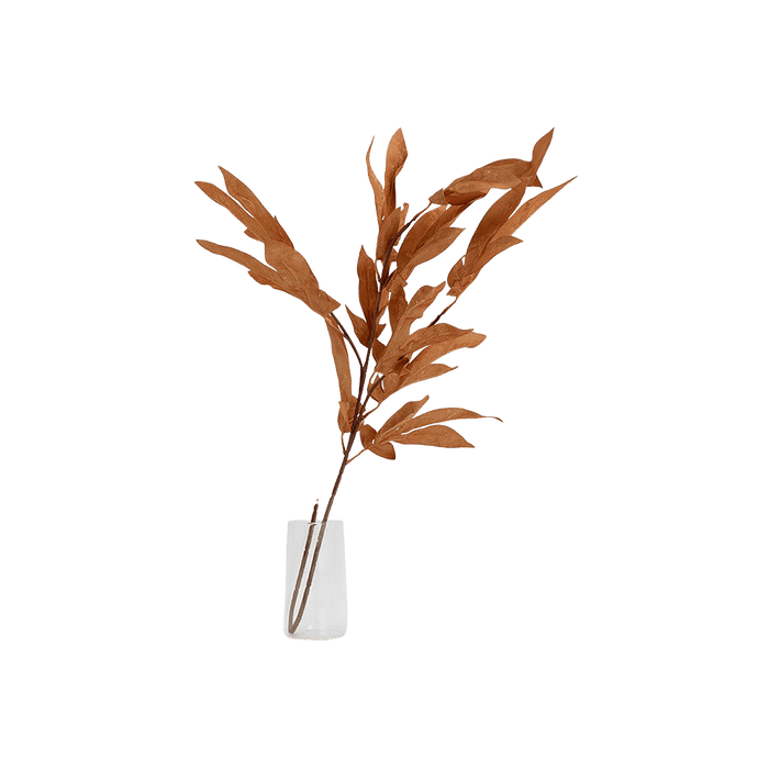 Maple leaves stem Orange