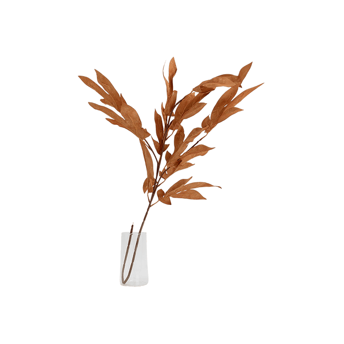 Maple leaves stem Orange