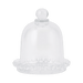Melodie Cake Case - Setinone.ae
