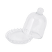 Melodie Cake Case - Setinone.ae