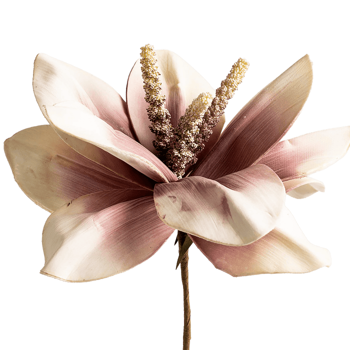 Mohnalia Flower Stem Dusty Pink