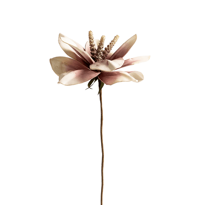 Mohnalia Flower Stem Dusty Pink