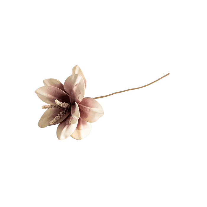 Mohnalia Flower Stem Dusty Pink