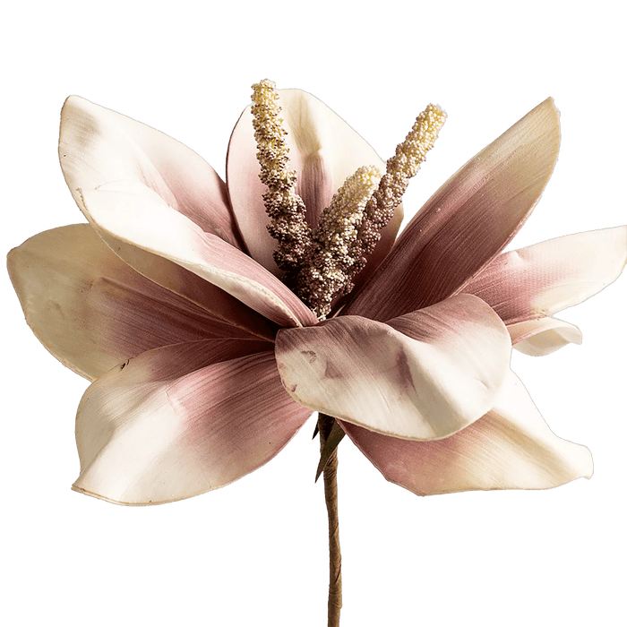 Mohnalia Flower Stem Dusty Pink OC Home