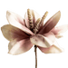 Mohnalia Flower Stem Dusty Pink OC Home