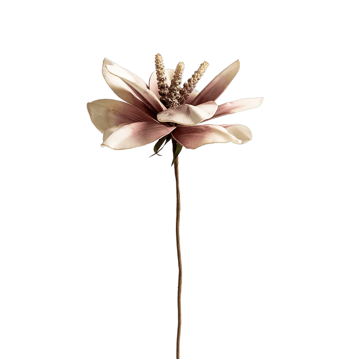 Mohnalia Flower Stem Dusty Pink OC Home