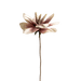 Mohnalia Flower Stem Dusty Pink OC Home