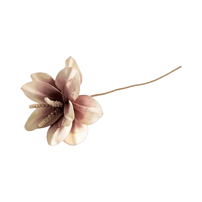 Mohnalia Flower Stem Dusty Pink OC Home