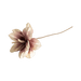 Mohnalia Flower Stem Dusty Pink OC Home