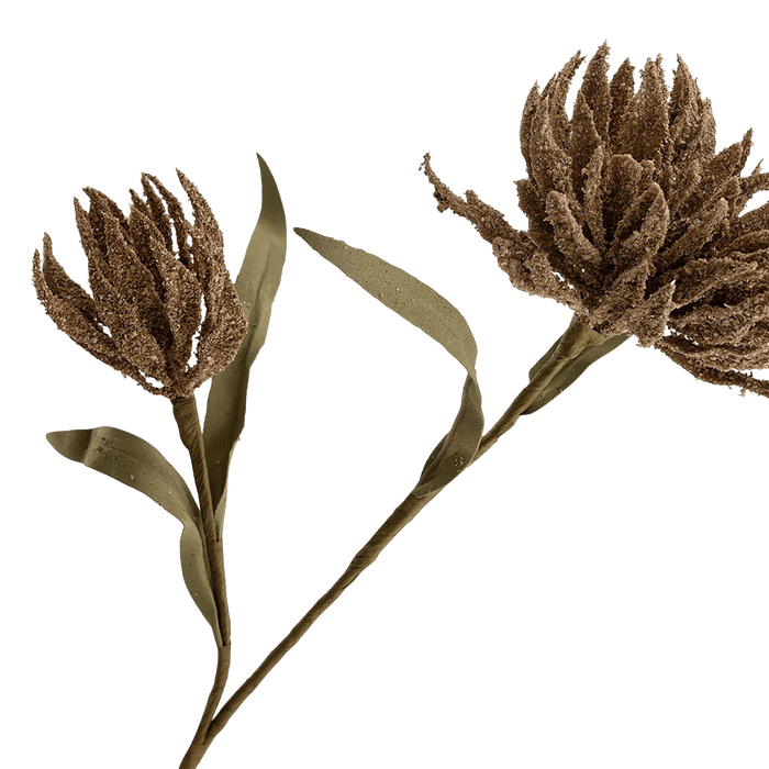 Narcissus Stem Brown