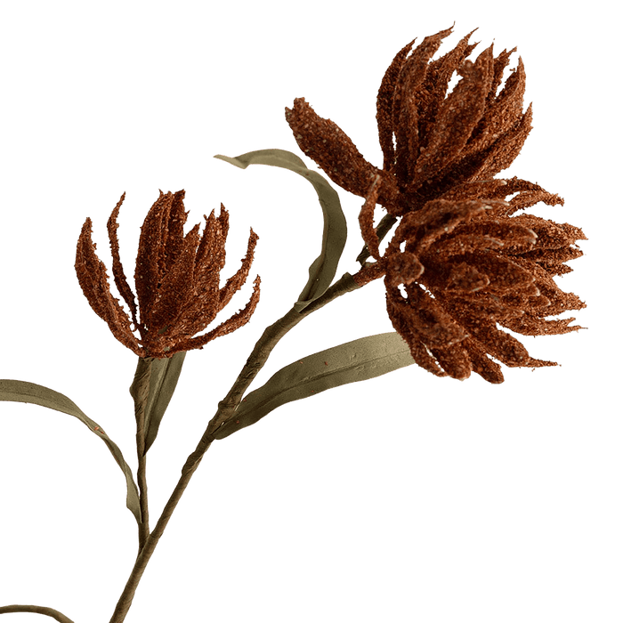 Narcissus Stem Terracotta