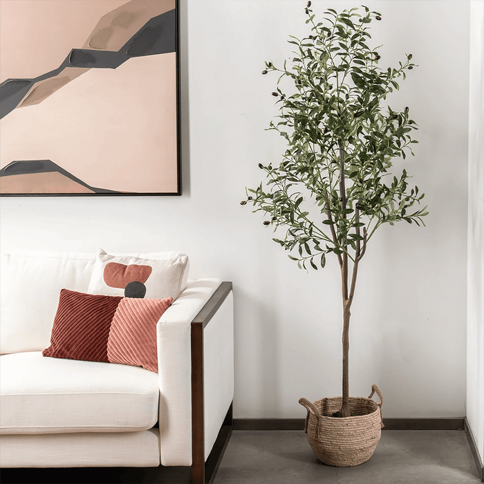 Olive Tree With Pot 180cm - Setinone.ae