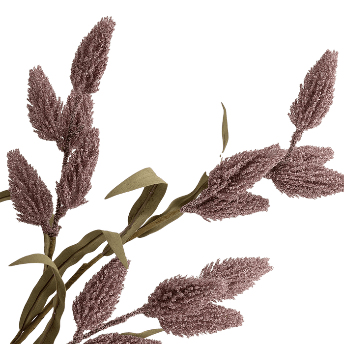 Phoenix Tail Flower Lilca