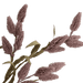 Phoenix Tail Flower Lilca - Setinone.ae