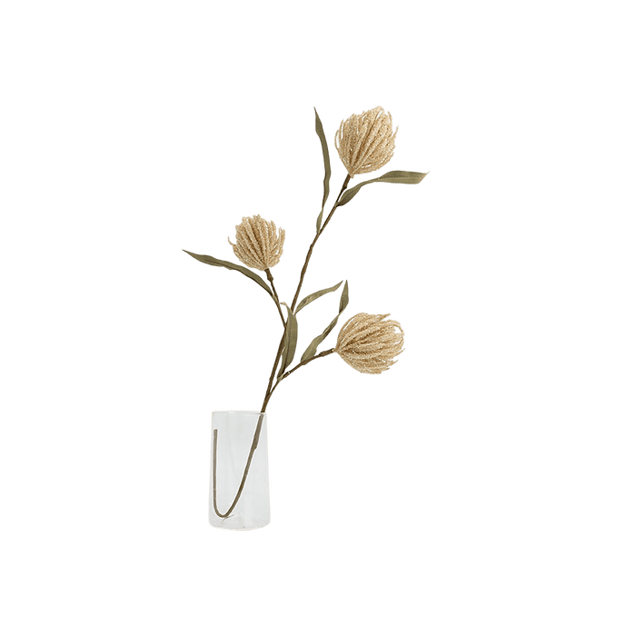 Protea Stem Beige