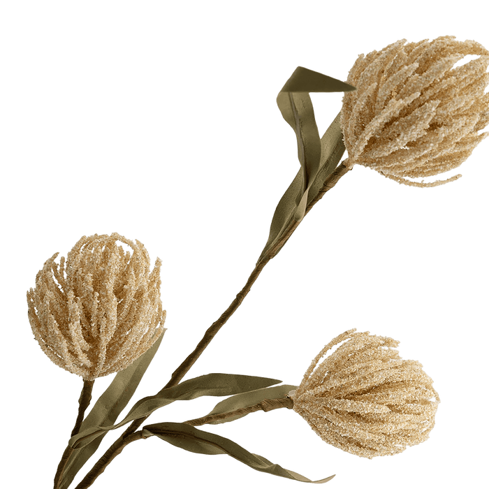 Protea Stem Beige