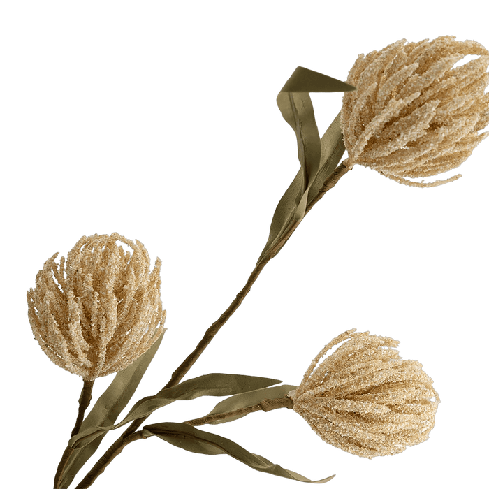 Protea Stem Beige
