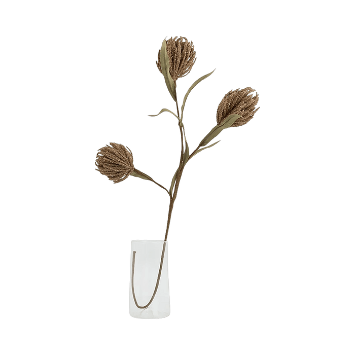 Protea Stem Brown