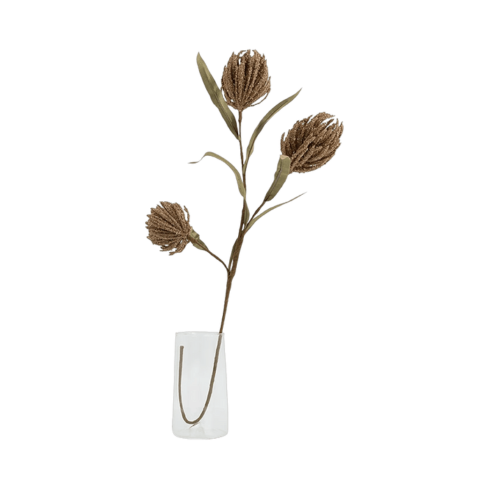 Protea Stem Brown